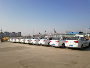 智通駕校 鄭州駕照培訓的專業選擇