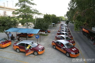 安培機動車駕駛員培訓店獅嶺分店全攻略 電話地址、營業時間、價格評價及優惠信息匯總