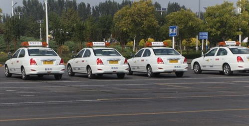 本市機動車駕駛員培訓行業信用評價體系即將全面實施，促進行業規范與服務質量提升