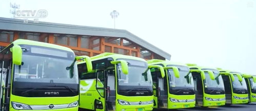 創新迭代、跨界融合與國際合作 中國新能源汽車產業海外投資勢頭強勁